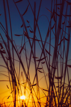 Sunrise in the hill country