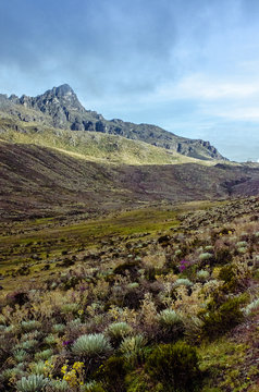 Peak Aguila in the Andes near Merida, Venezuela