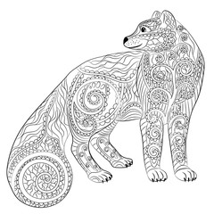 Arctic fox in the zentangle style.