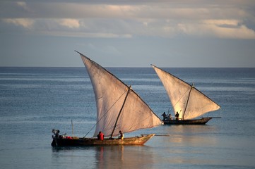 Dhow Zanzibar - obrazy, fototapety, plakaty
