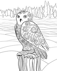 Snowy owl in the zentangle style. - 177380699