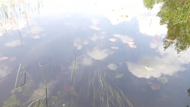 Arkaim. Surface Of A Quiet Pond (alter ver)