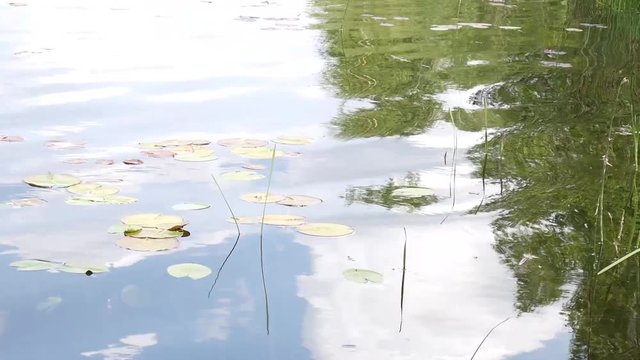 Arkaim. Surface Of A Quiet Pond