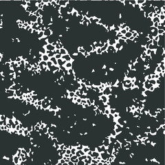 abstract animals pattern leopard texture white puzzle pattern black