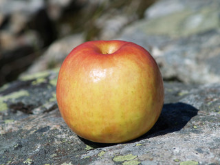 Apple on the rocks