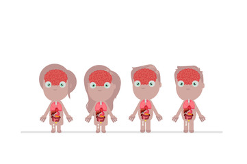 Human body anatomy vector illustration