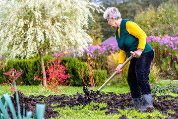 Working farmer in the autumn garden. Organic fertilizer for manuring soil, preparing field for...
