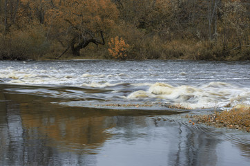 Rapid river flows and the faded brown wood on coast late fall