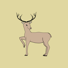 Deer isolated