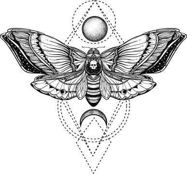 black and white deadhead butterfly on sacred geometry vector illustration