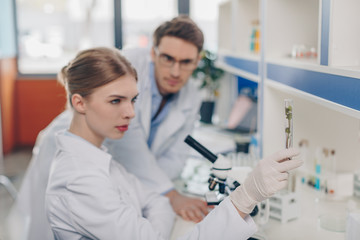 Fototapeta premium biologists with plant in tube