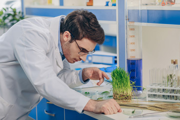 biologist with grass in laboratory