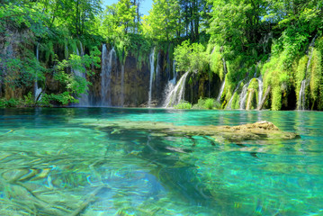 Waterfall, Pond, and Submerged Log at Croatia's Plitvice Lakes National Park.