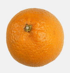 ORANGE ON WHITE BACKGROUND