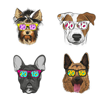  Dog wearing sunglasses, Year of the dog 2018. Fashion vector illustration. 