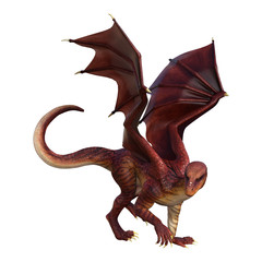 3D Rendering Fantasy Dragon on White