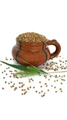 Buckwheat and  ears on the white