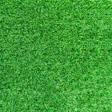 Artificial green grass texture or green grass background for golf course. soccer field or sports background concept design.