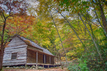 Mountain log cabin homestead surrounded by colorful fall foliage