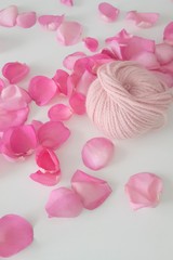 Pink ball of yarn between rose petals on white background