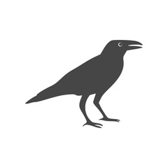 Crow vector illustration design, Crow silhouette 