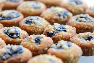 Freshly baked Blueberry Muffin