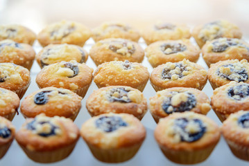 Freshly baked Blueberry Muffin