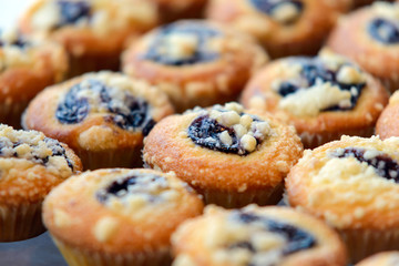 Freshly baked Blueberry Muffin