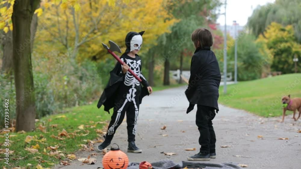 Canvas Prints Two children, boy brothers in the park with Halloween costumes, having fun