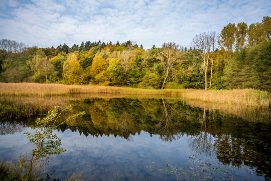 33 Beste Hutter Wohld Bilder Stock Fotos Vektorgrafiken Adobe Stock