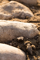 large stones on the ground in nature