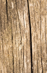 old wooden boards as background