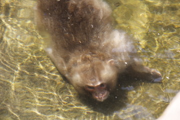 Eyes open under water