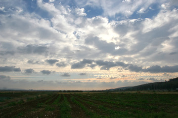 Fototapeta premium agricultural landscape of the Galilee fields 