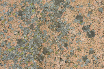 Surface of a smooth granite rock, polished by ice. The rock is the red granite variation from...