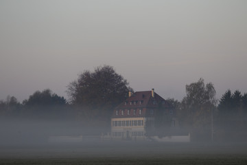 Morgennebel