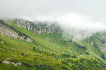 Obraz premium a green valley in the mountains with a path running through the cliffs overgrown with greenery