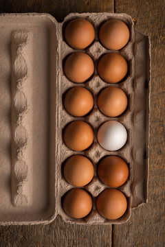 Concept: Be Unique - One White Egg in Carton of Brown Eggs