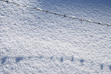 Barbed wire powdered with snow against the background of a snowdrift