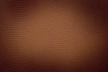 Hintergrund einer Braunen Schlangenhaut mit Vignette 