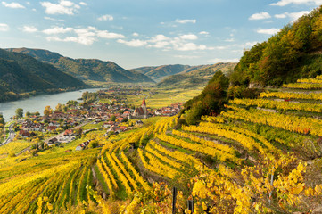 Weissenkirchen Wachau Austria in autumn colored leaves and vineyards