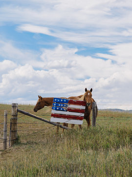 two horses stand near a hand crafted American flag
