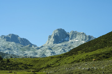 Peaks of Europe Asturias, Spain
