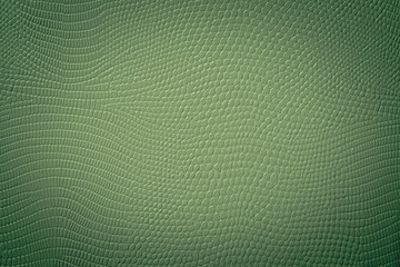 Grüne Textur einer Schlangen Haut Prägung © darknightsky
