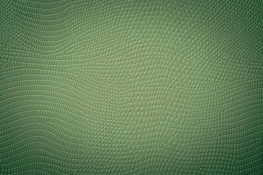 Gr&uuml;ne Textur einer Schlangen Haut Pr&auml;gung
