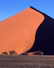 Big Daddy Dune of Sossusvlei in the Morning, Namib-Naukluft Park, Namibia