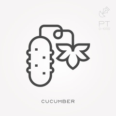 Line icon cucumber