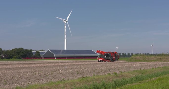 Top lifting potato harvester in Dutch Polder - on camera. Solar powered shed and wind turbine in background. FLEVOPOLDER, THE NETHERLANDS - AUGUST 2016