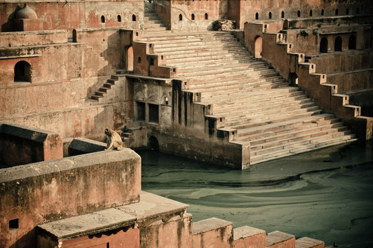 pond with stairs and Monkey. Mathura, Birthplace of Lord Krishna. India