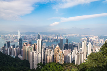Fototapeta premium Hong Kong city view from The peak.